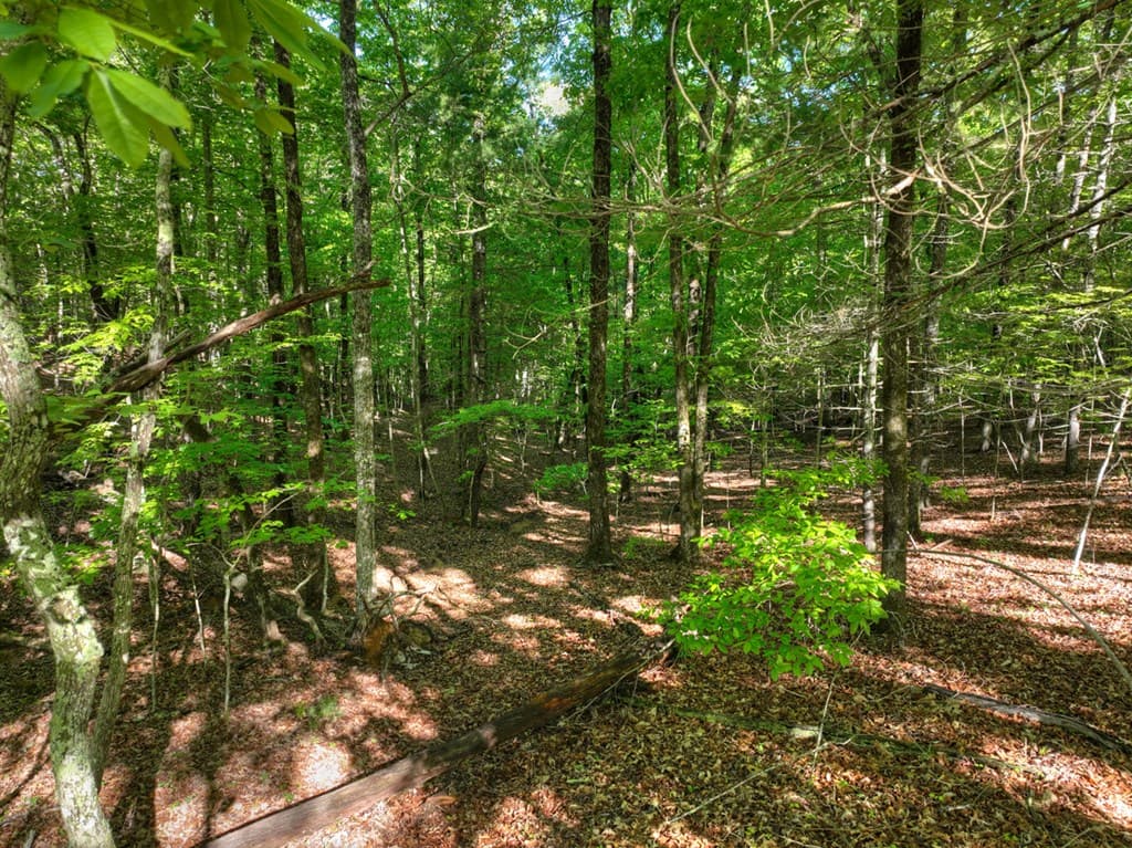 Lot 41 Ridge Drive, Morganton GA 30560 - Photo