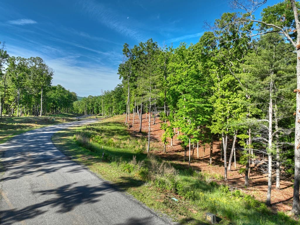 Lot 41 Ridge Drive, Morganton GA 30560 - Photo