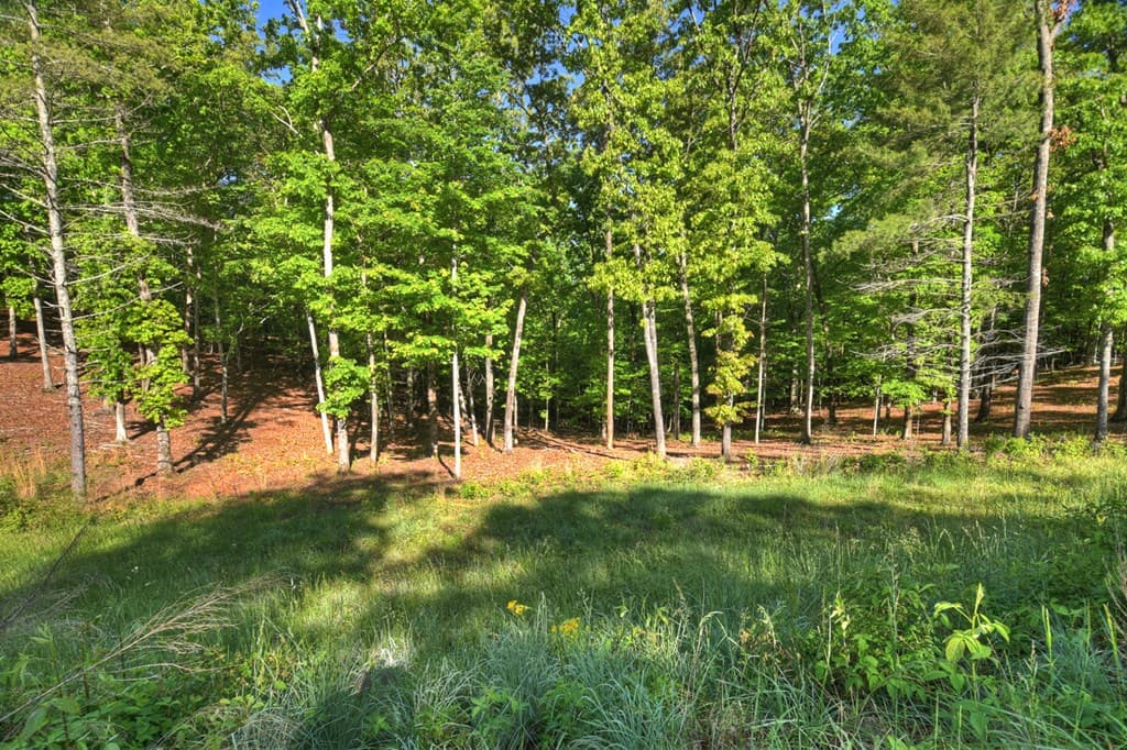 Lot 41 Ridge Drive, Morganton GA 30560 - Photo