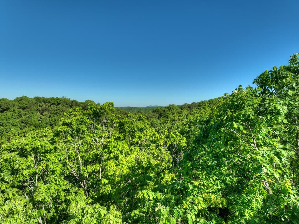 Lot 41 Ridge Drive, Morganton GA 30560 - Photo