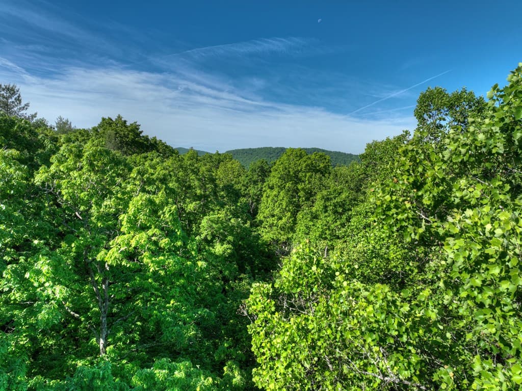 Lot 41 Ridge Drive, Morganton GA 30560 - Photo