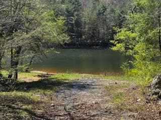 92 Misty Mountain Trail, Morganton GA 30560 - Photo