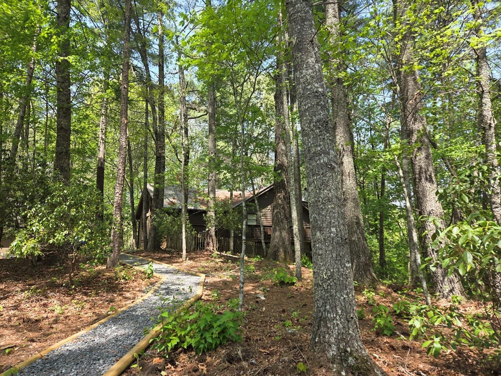 92 Misty Mountain Trail, Morganton GA 30560 - Photo
