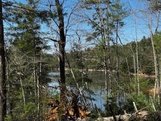 92 Misty Mountain Trail, Morganton GA 30560 - Photo