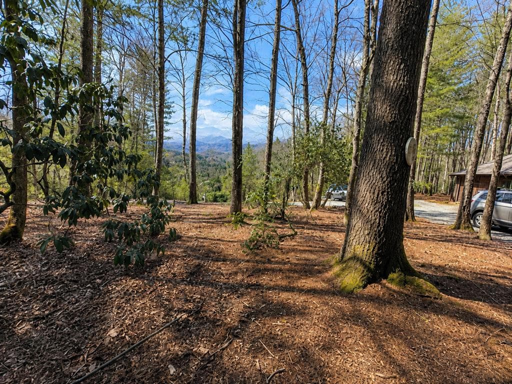 92 Misty Mountain Trail, Morganton GA 30560 - Photo