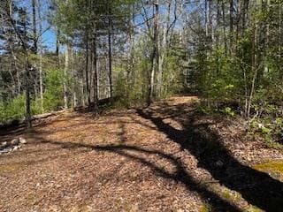 92 Misty Mountain Trail, Morganton GA 30560 - Photo