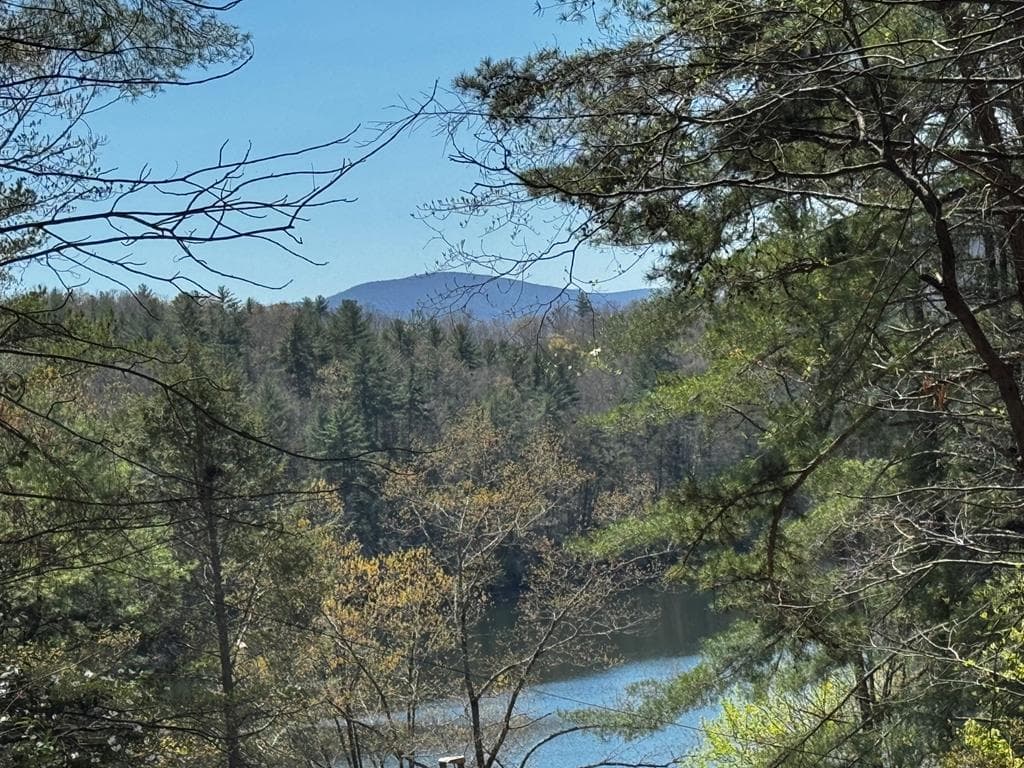 92 Misty Mountain Trail, Morganton GA 30560 - Photo