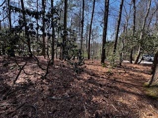 92 Misty Mountain Trail, Morganton GA 30560 - Photo