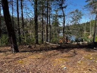 92 Misty Mountain Trail, Morganton GA 30560 - Photo
