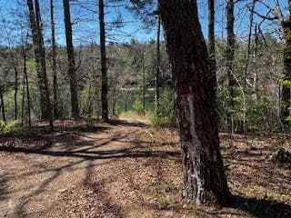 92 Misty Mountain Trail, Morganton GA 30560 - Photo