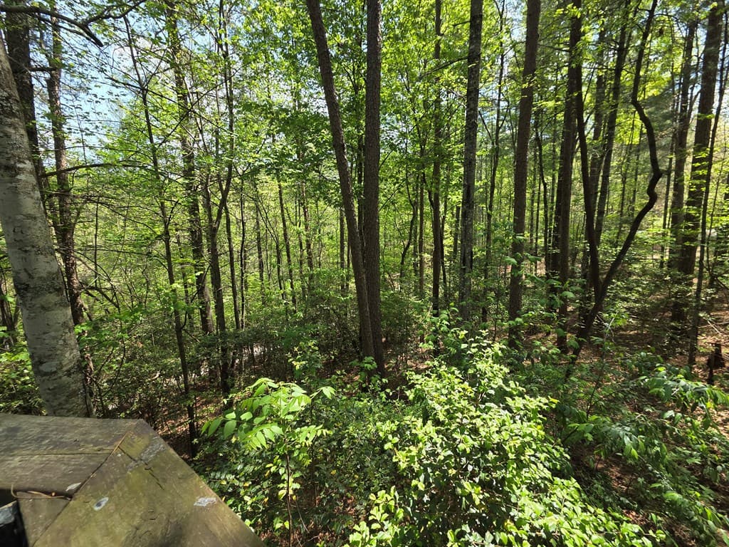 92 Misty Mountain Trail, Morganton GA 30560 - Photo
