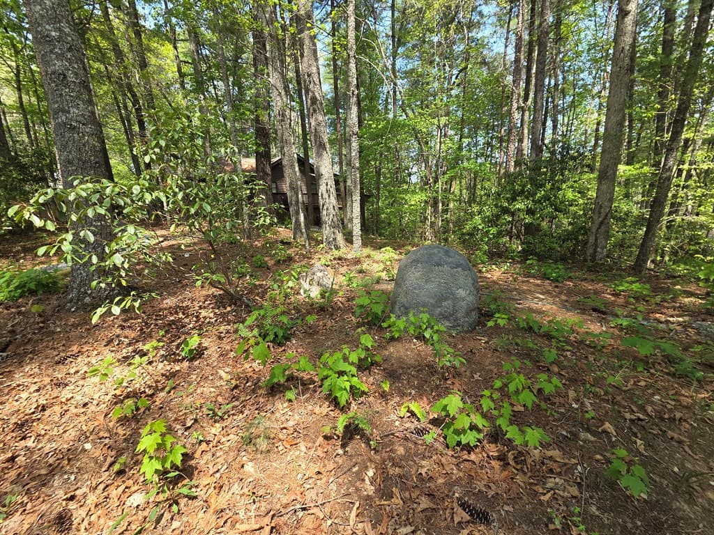 92 Misty Mountain Trail, Morganton GA 30560 - Photo