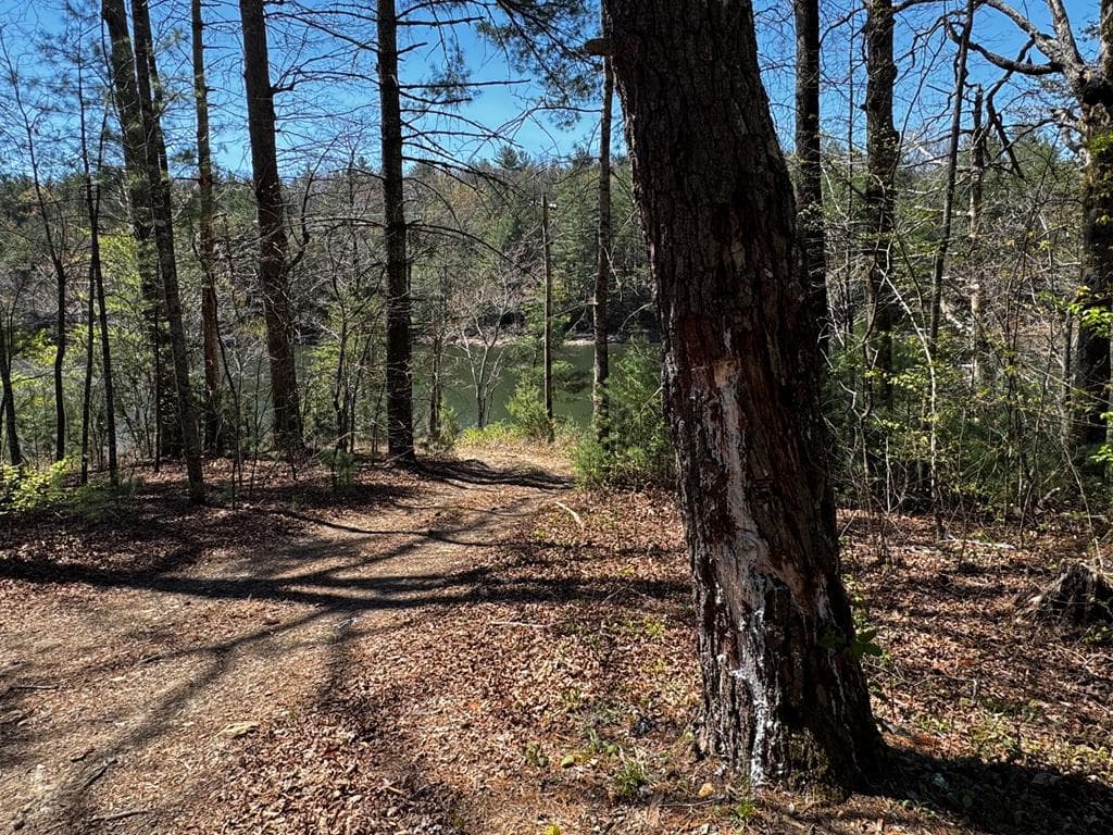 92 Misty Mountain Trail, Morganton GA 30560 - Photo