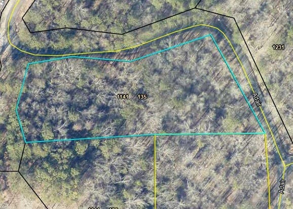 135 Adair Drive, Ranger GA 30734 - Photo