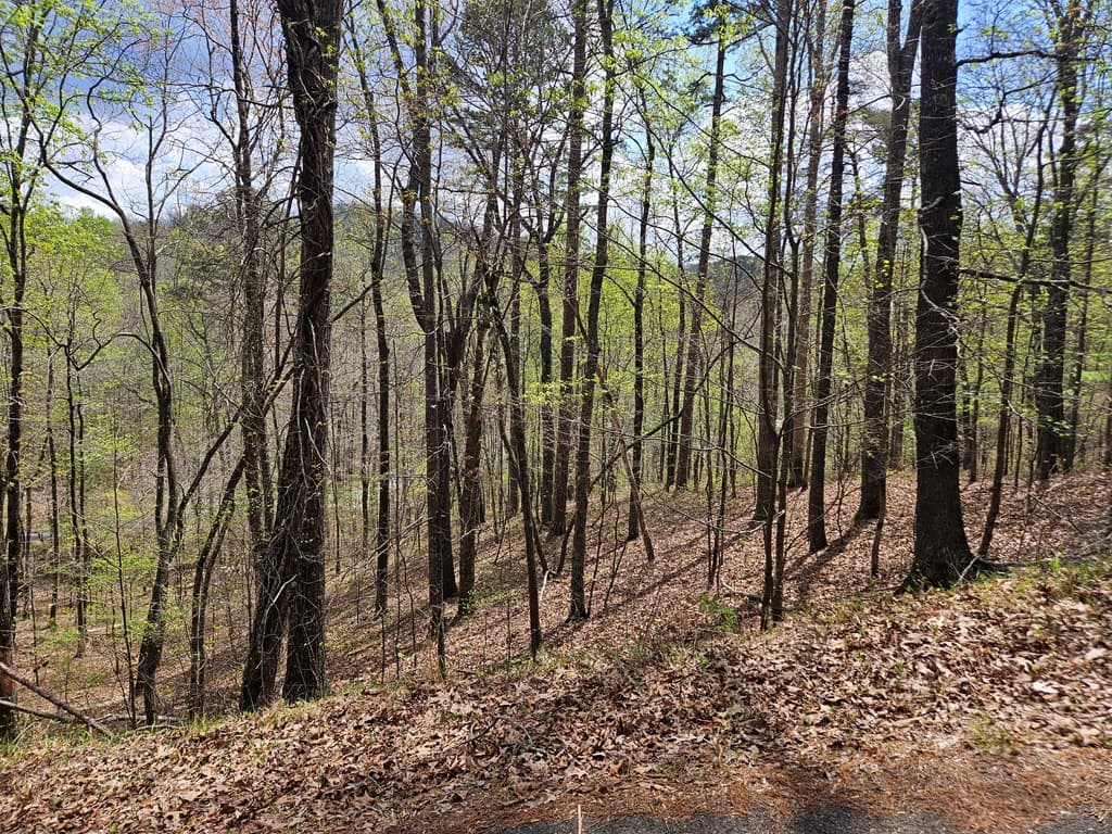 135 Adair Drive, Ranger GA 30734 - Photo