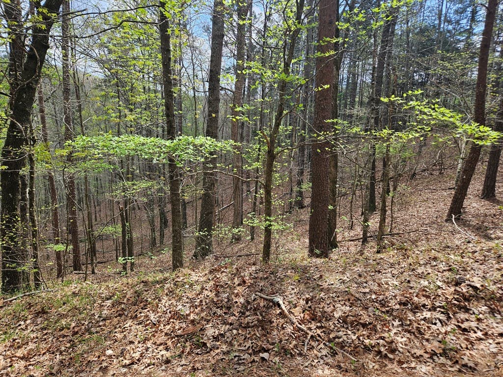 135 Adair Drive, Ranger GA 30734 - Photo