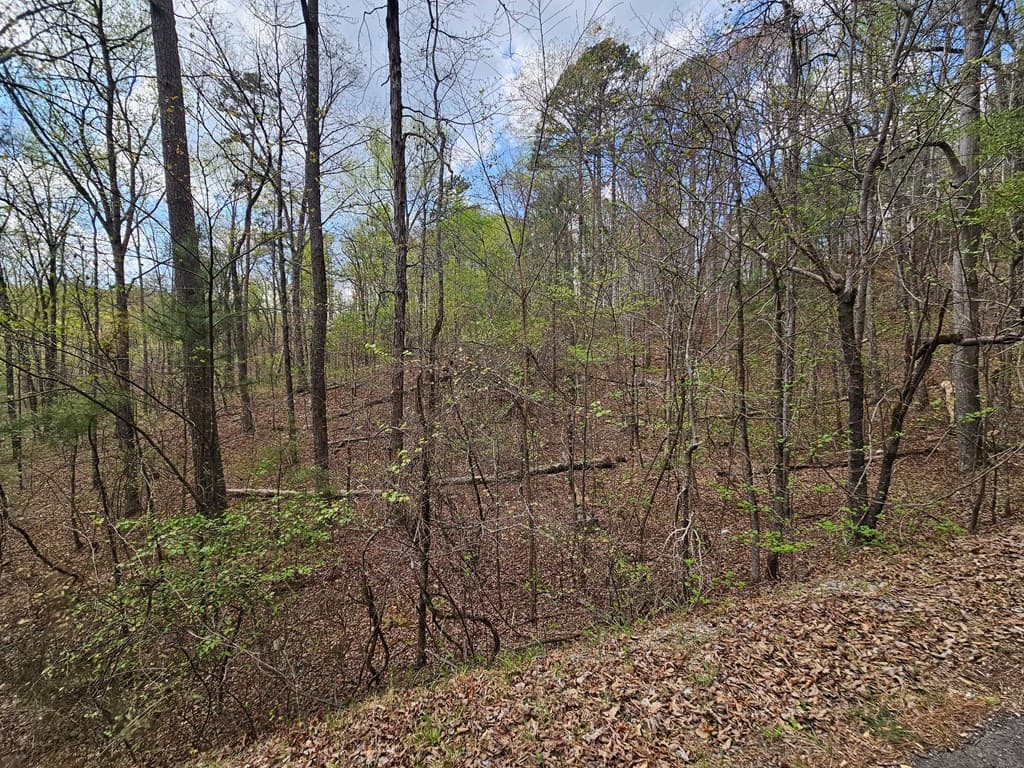 135 Adair Drive, Ranger GA 30734 - Photo