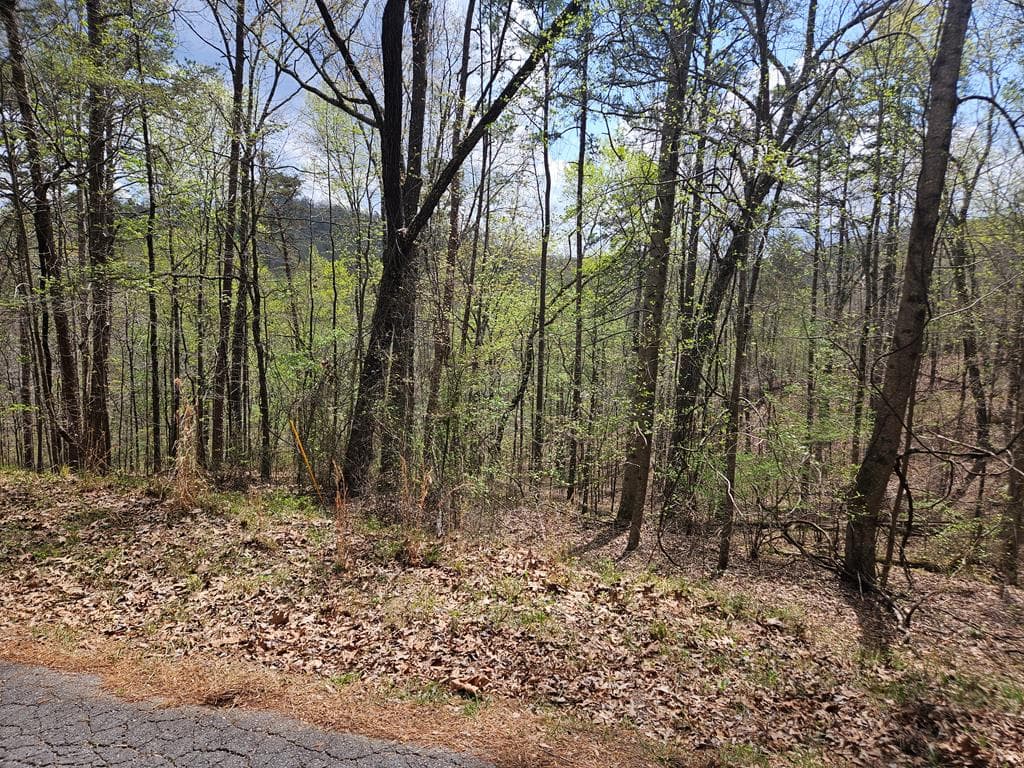 135 Adair Drive, Ranger GA 30734 - Primary photo