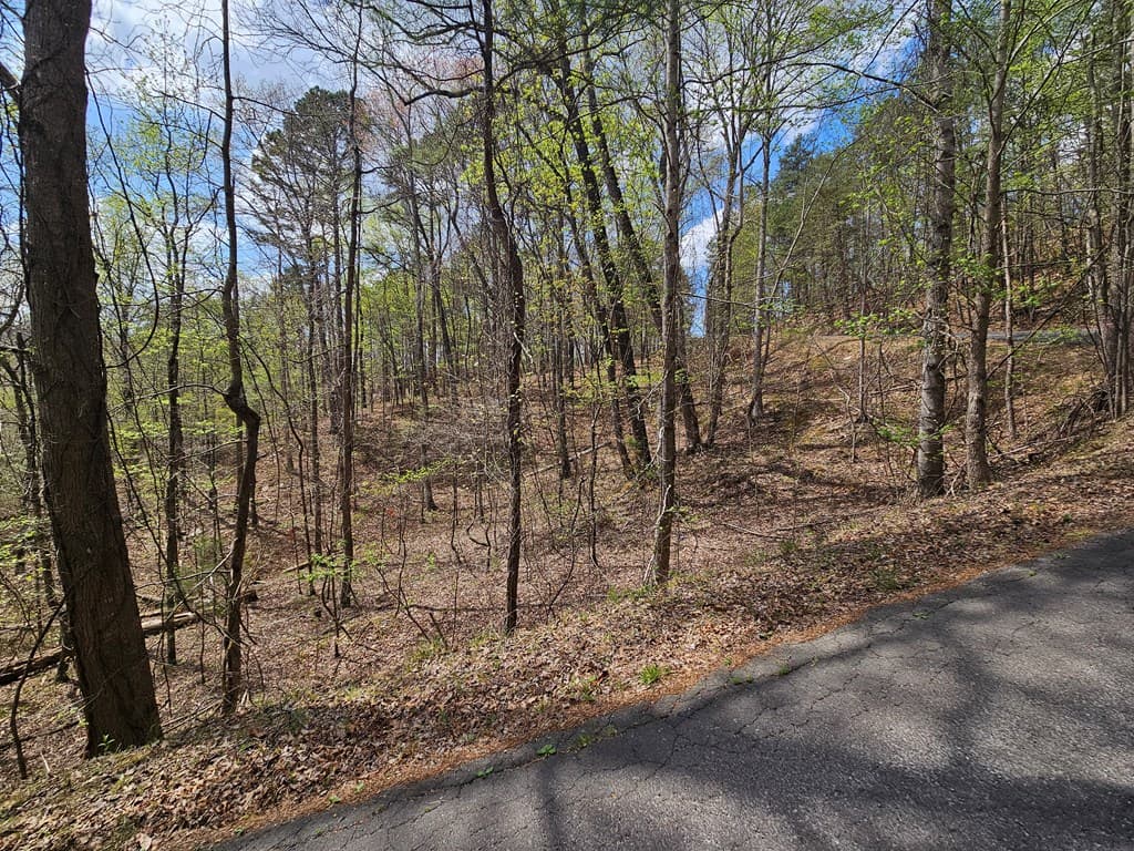135 Adair Drive, Ranger GA 30734 - Photo