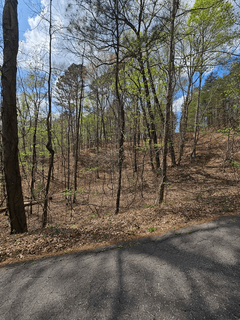 135 Adair Drive, Ranger GA 30734 - Photo