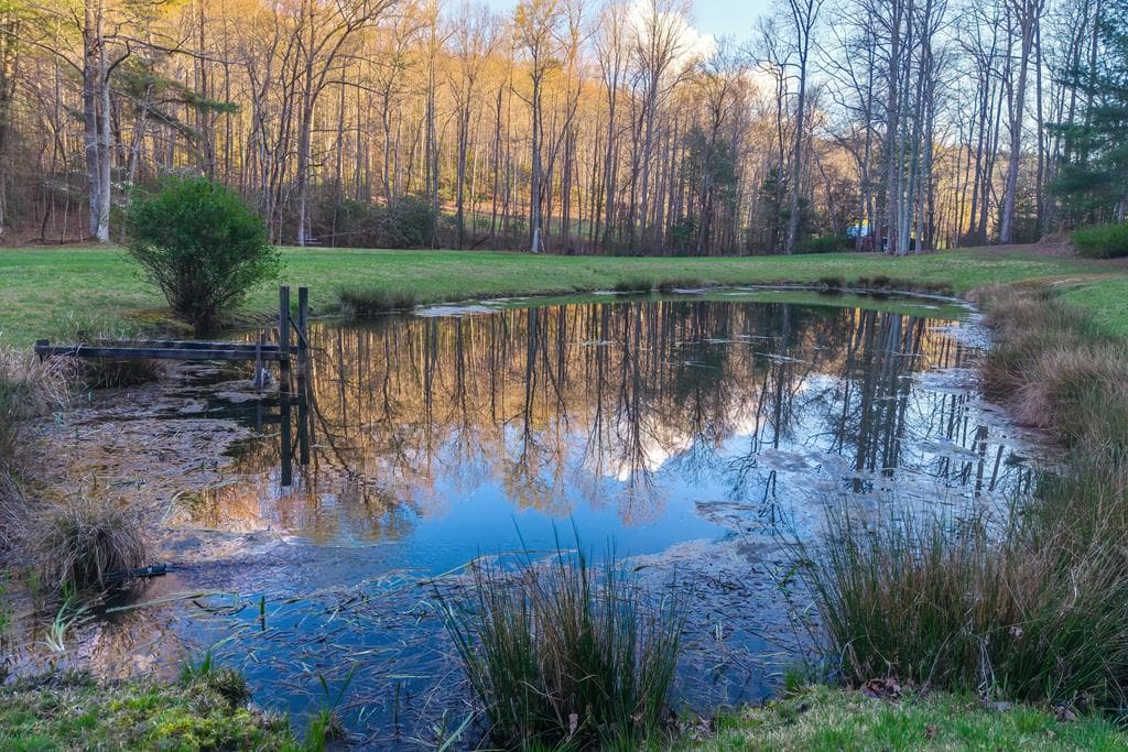 2669 Weaver Creek Road, Blue Ridge GA 30513 - Photo