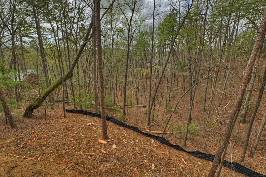962 Maggie Chapman Road, Cherry Log GA 30522 - Photo