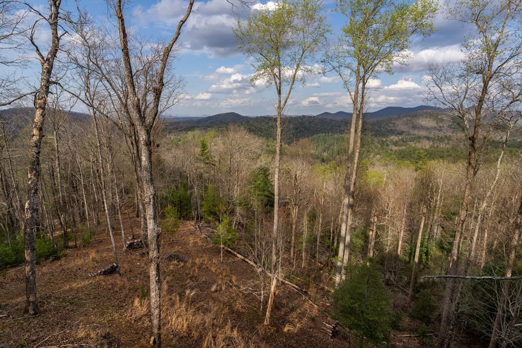 967 River Bend Lane, Blue Ridge GA 30513 - Photo