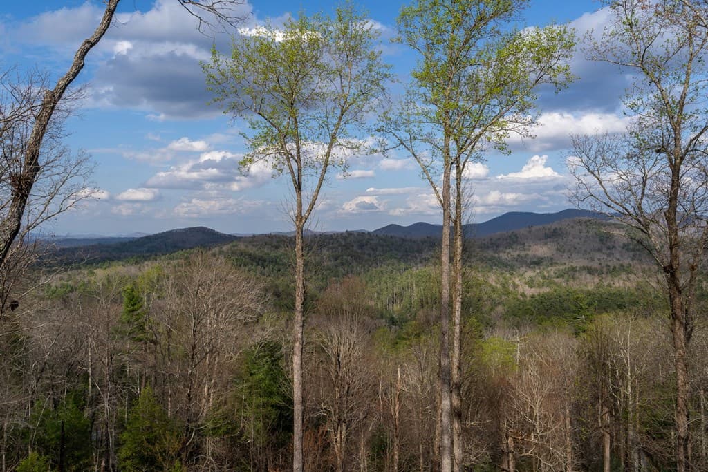 967 River Bend Lane, Blue Ridge GA 30513 - Photo