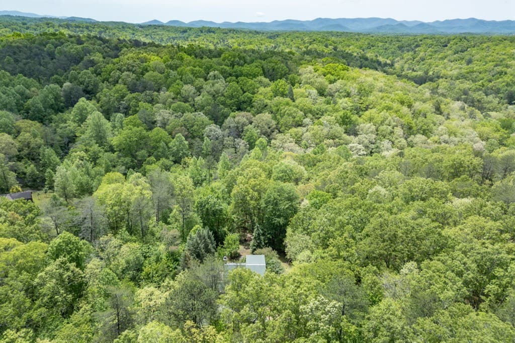 1204 Brookhaven Lane, Blue Ridge GA 30513 - Photo