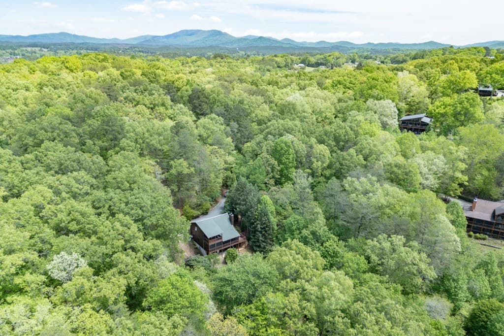 1204 Brookhaven Lane, Blue Ridge GA 30513 - Photo