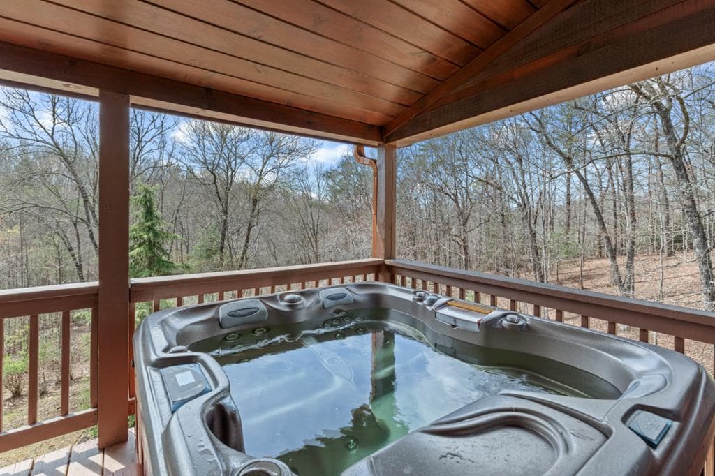 1204 Brookhaven Lane, Blue Ridge GA 30513 - Photo