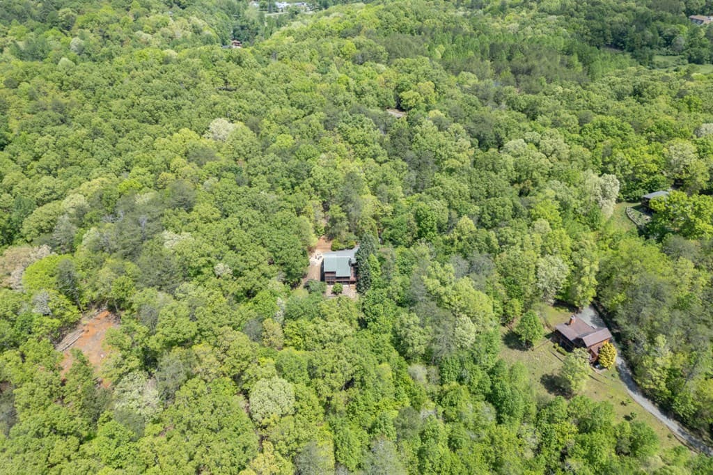 1204 Brookhaven Lane, Blue Ridge GA 30513 - Photo