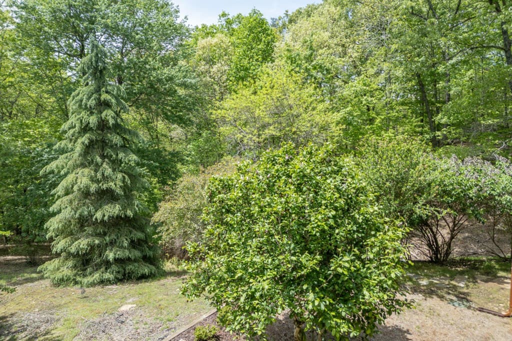 1204 Brookhaven Lane, Blue Ridge GA 30513 - Photo