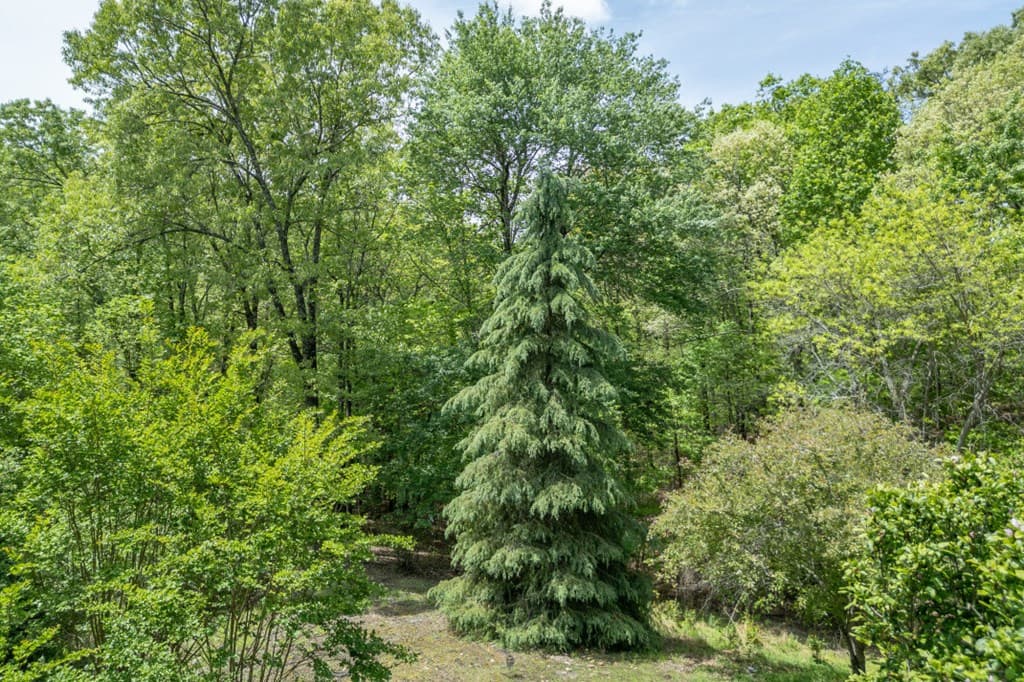 1204 Brookhaven Lane, Blue Ridge GA 30513 - Photo