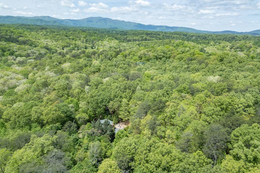 1204 Brookhaven Lane, Blue Ridge GA 30513 - Photo