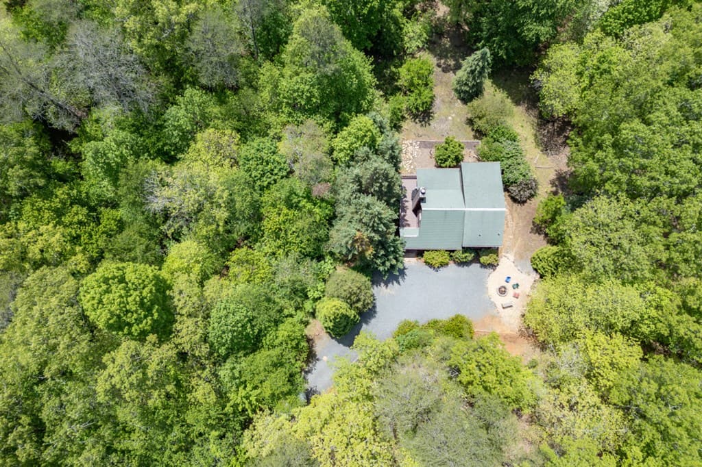1204 Brookhaven Lane, Blue Ridge GA 30513 - Photo