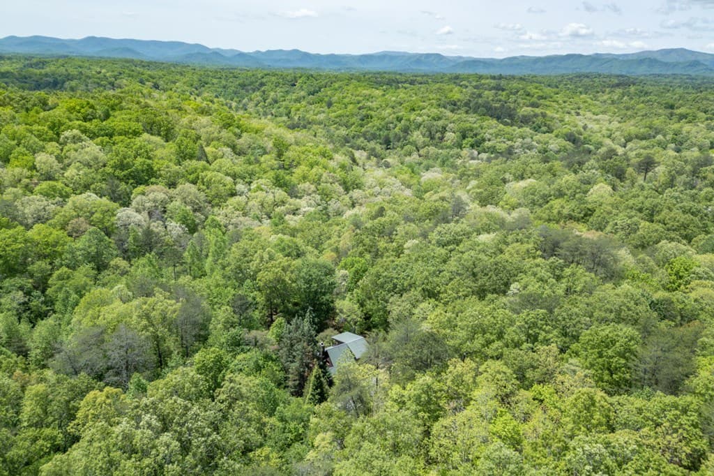 1204 Brookhaven Lane, Blue Ridge GA 30513 - Photo