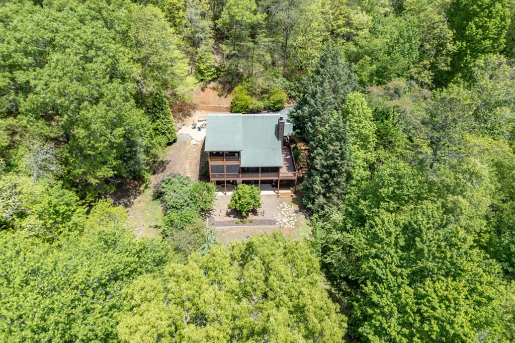 1204 Brookhaven Lane, Blue Ridge GA 30513 - Photo