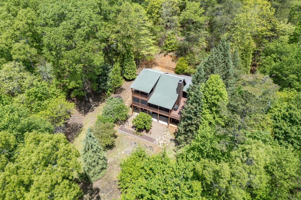 1204 Brookhaven Lane, Blue Ridge GA 30513 - Photo