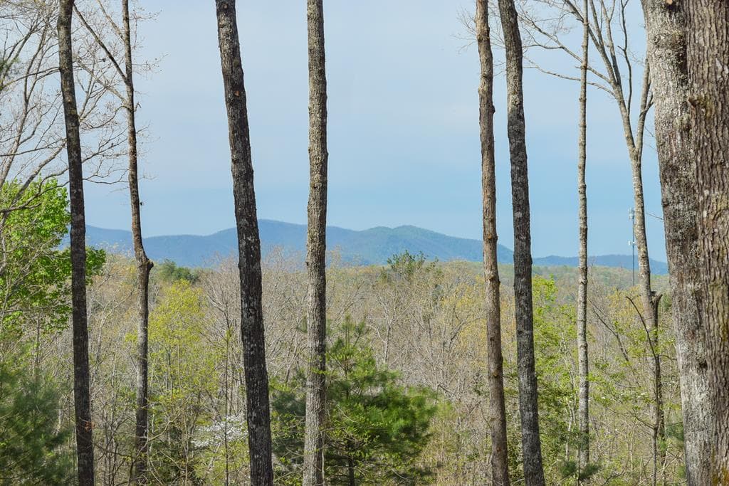 375 Ridge Brook Drive, Morganton GA 30560 - Photo