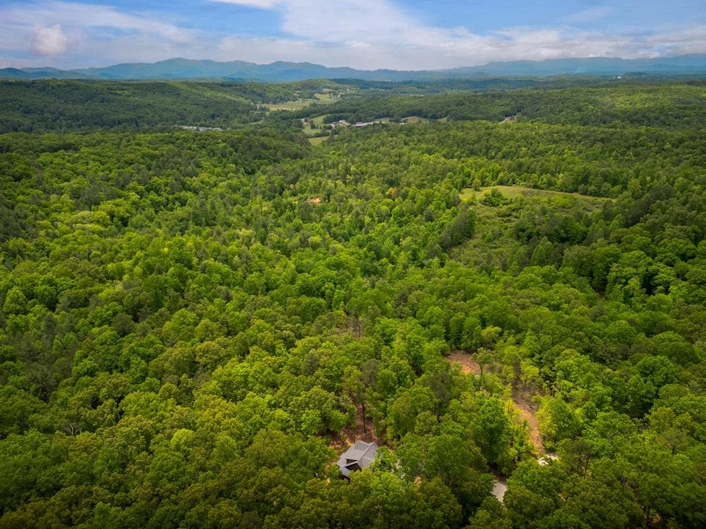 375 Ridge Brook Drive, Morganton GA 30560 - Photo