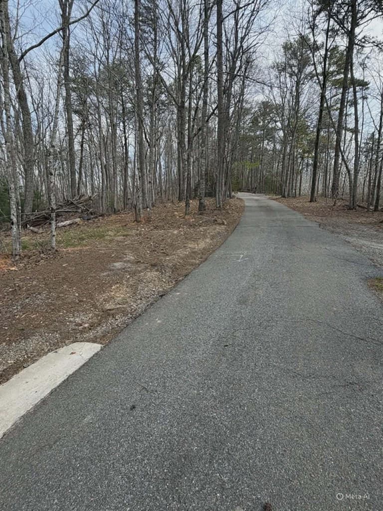 Tract B2 Mountain Ridge, Blue Ridge GA 30513 - Photo