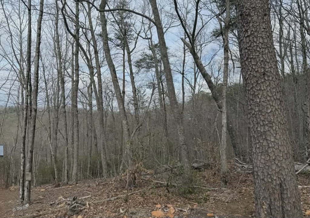 Tract B2 Mountain Ridge, Blue Ridge GA 30513 - Photo