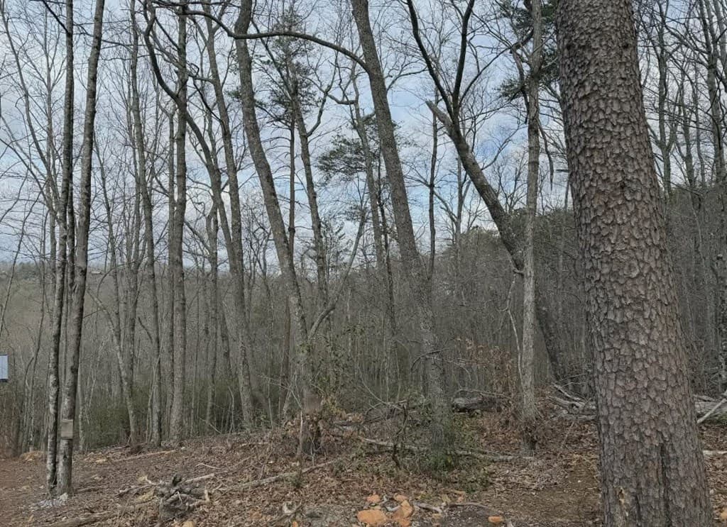 Tract B2 Mountain Ridge, Blue Ridge GA 30513 - Photo