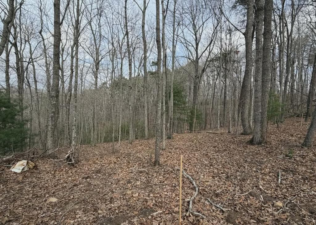 Tract B2 Mountain Ridge, Blue Ridge GA 30513 - Primary photo