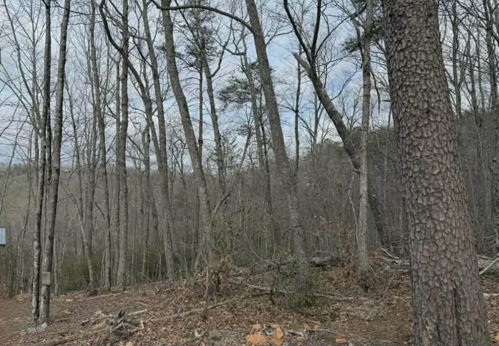 Tract B2 Mountain Ridge, Blue Ridge GA 30513 - Photo
