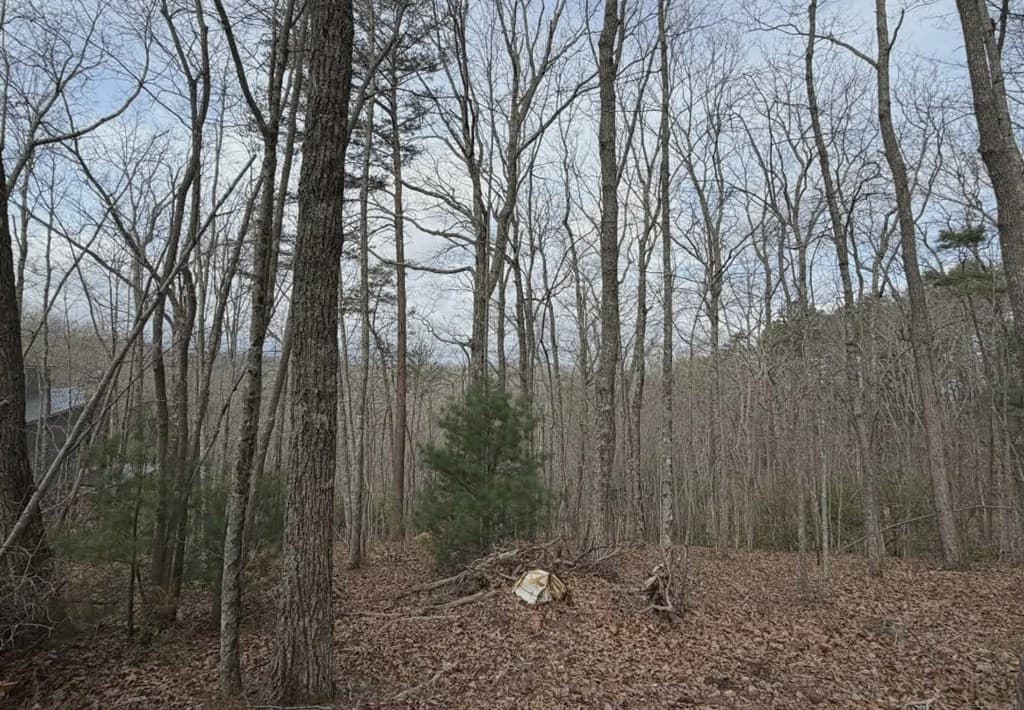 Tract B2 Mountain Ridge, Blue Ridge GA 30513 - Photo