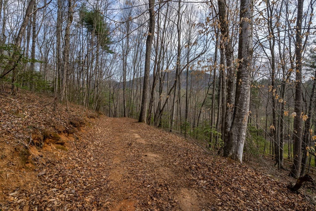 1132 Hells Hollow Road, Blue Ridge GA 30513 - Photo