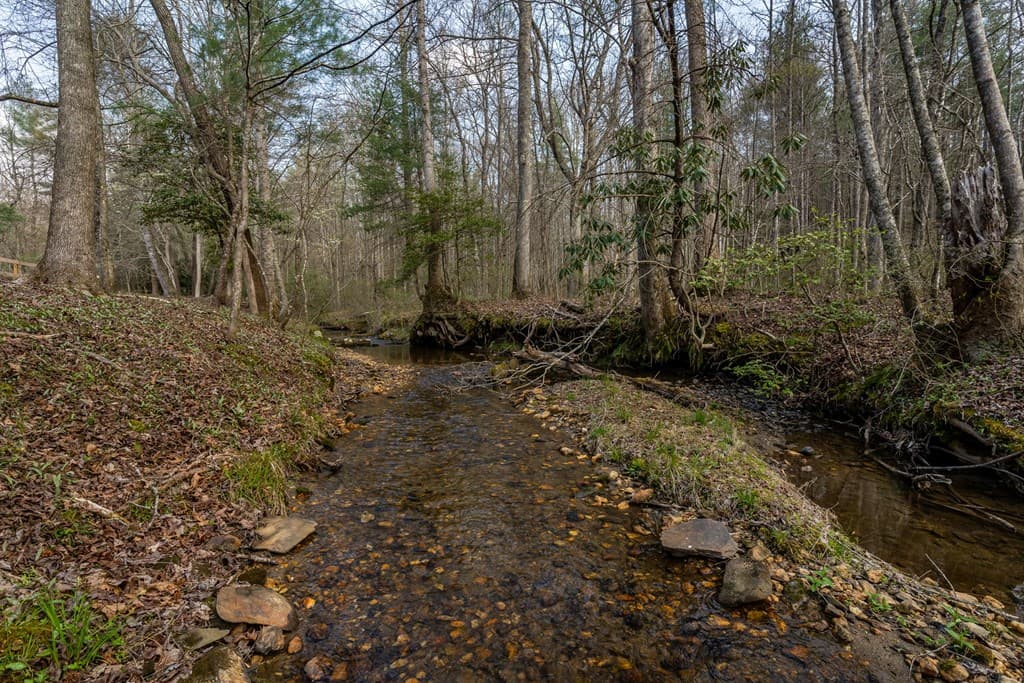 1132 Hells Hollow Road, Blue Ridge GA 30513 - Photo