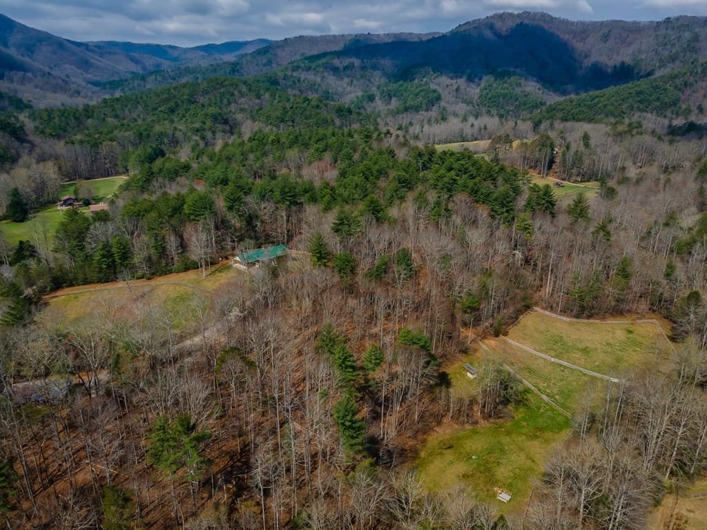 1132 Hells Hollow Road, Blue Ridge GA 30513 - Photo